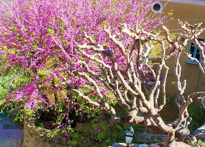 Hotel Restaurant U Santa Maria 2*