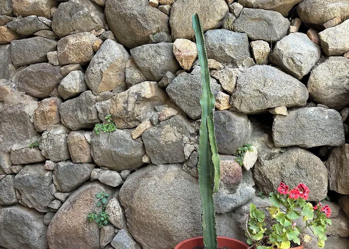 Hotel Restaurant U Santa Maria Olmeto (Corsica)