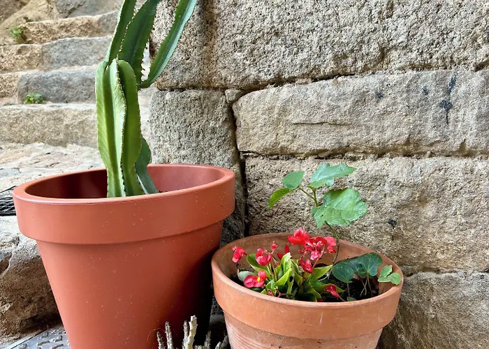 Restaurant U Santa Maria Hotel