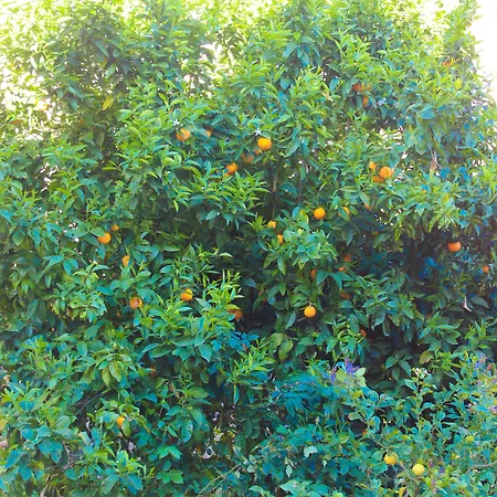 Restaurant U Santa Maria Hotel