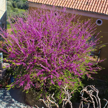 Hotell Restaurant U Santa Maria Olmeto (Corsica)