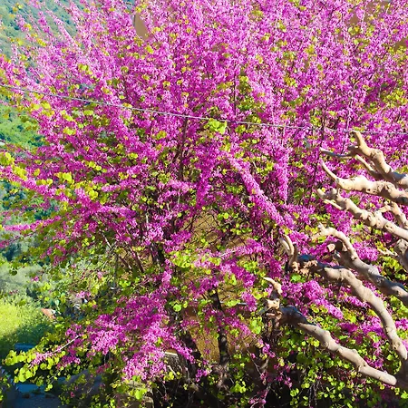 Hotel Restaurant U Santa Maria 2*