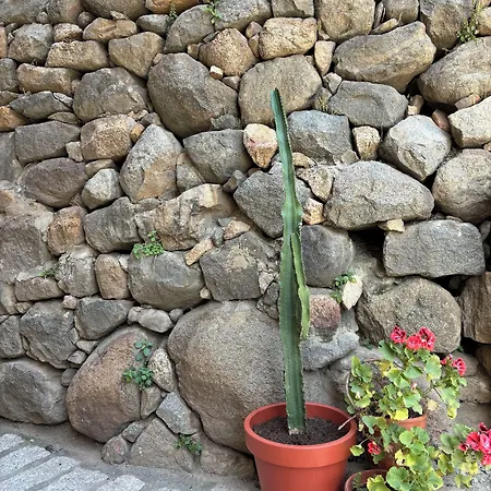 Hotel Restaurant U Santa Maria Olmeto (Corsica)