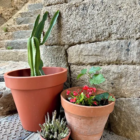 Restaurant U Santa Maria Hotel