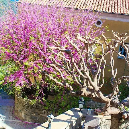 Restaurant U Santa Maria ホテル