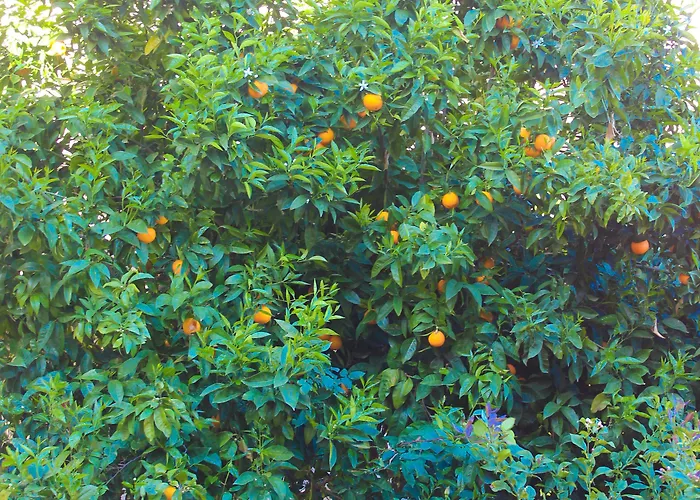 Restaurant U Santa Maria 酒店